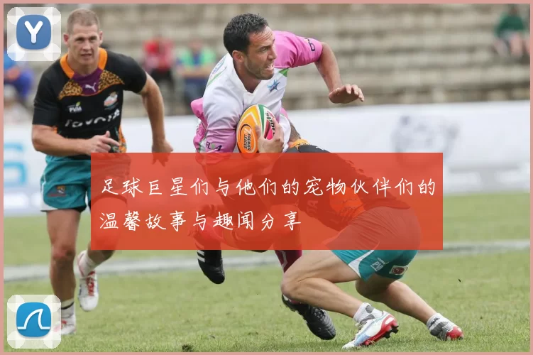 足球巨星们与他们的宠物伙伴们的温馨故事与趣闻分享