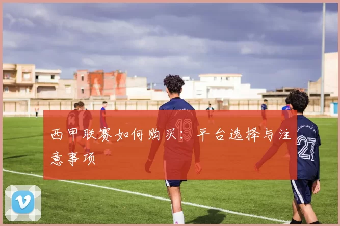 西甲联赛如何购买：平台选择与注意事项