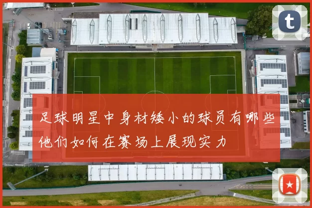 足球明星中身材矮小的球员有哪些他们如何在赛场上展现实力