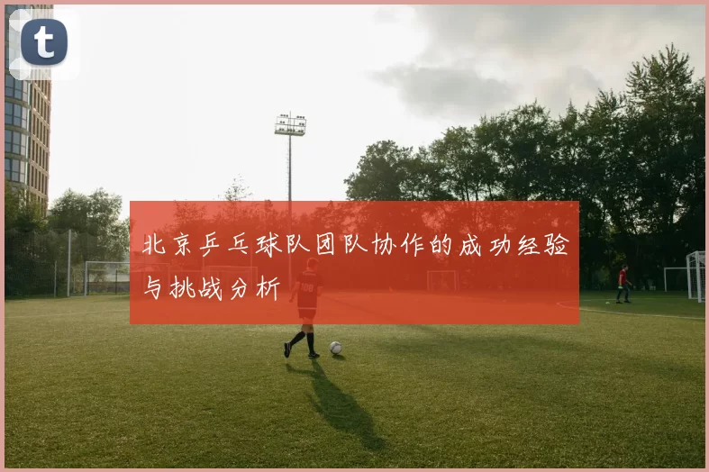 北京乒乓球队团队协作的成功经验与挑战分析