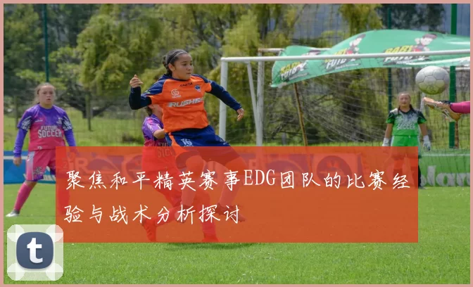 聚焦和平精英赛事EDG团队的比赛经验与战术分析探讨