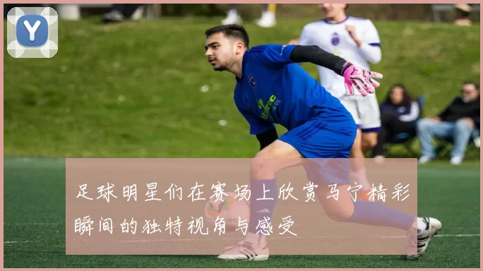 足球明星们在赛场上欣赏马宁精彩瞬间的独特视角与感受