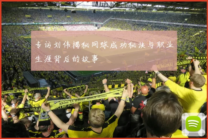 专访刘伟揭秘网球成功秘诀与职业生涯背后的故事