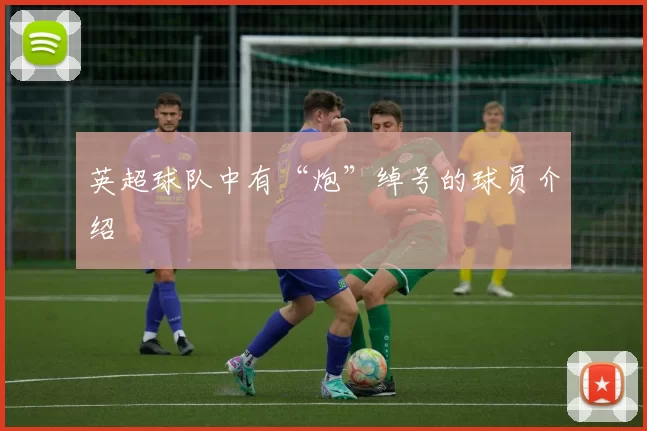 英超球队中有“炮”绰号的球员介绍