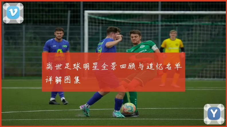 离世足球明星全景回顾与追忆名单详解图集