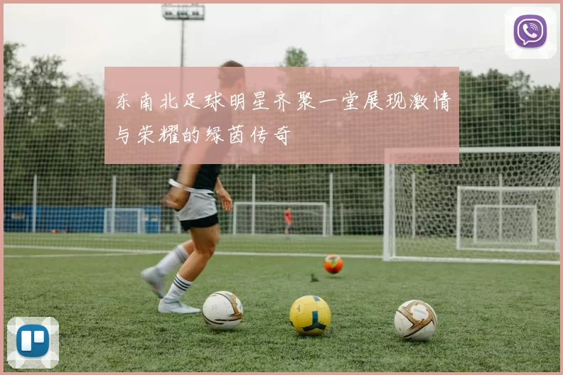 东南北足球明星齐聚一堂展现激情与荣耀的绿茵传奇