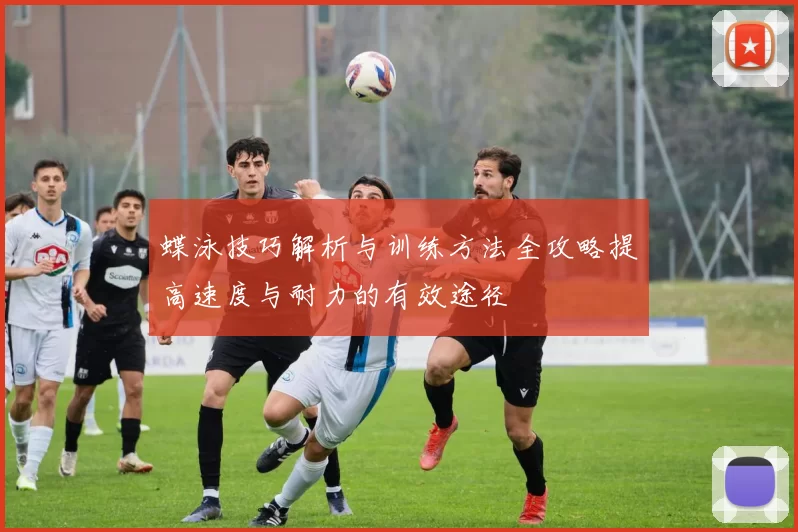 蝶泳技巧解析与训练方法全攻略提高速度与耐力的有效途径