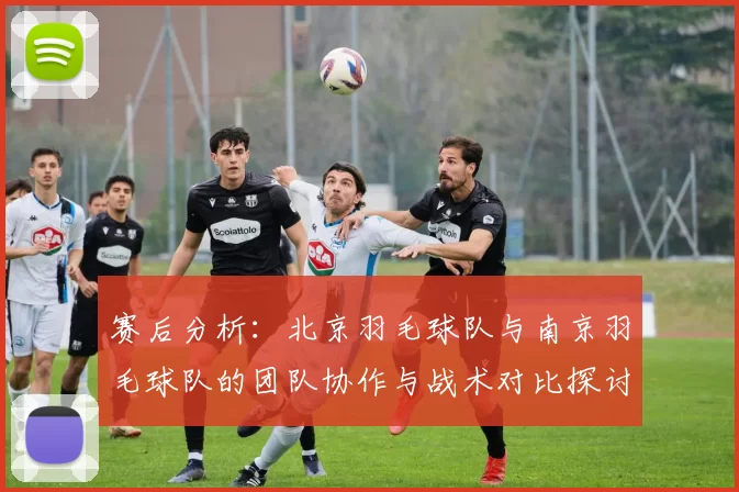 赛后分析：北京羽毛球队与南京羽毛球队的团队协作与战术对比探讨