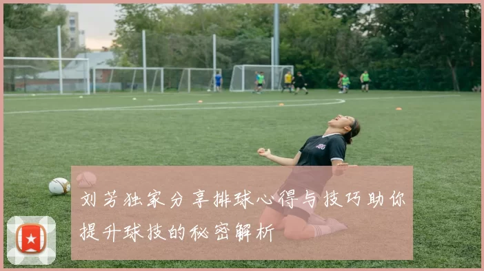 刘芳独家分享排球心得与技巧助你提升球技的秘密解析