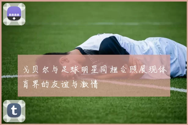 戈贝尔与足球明星同框合照展现体育界的友谊与激情