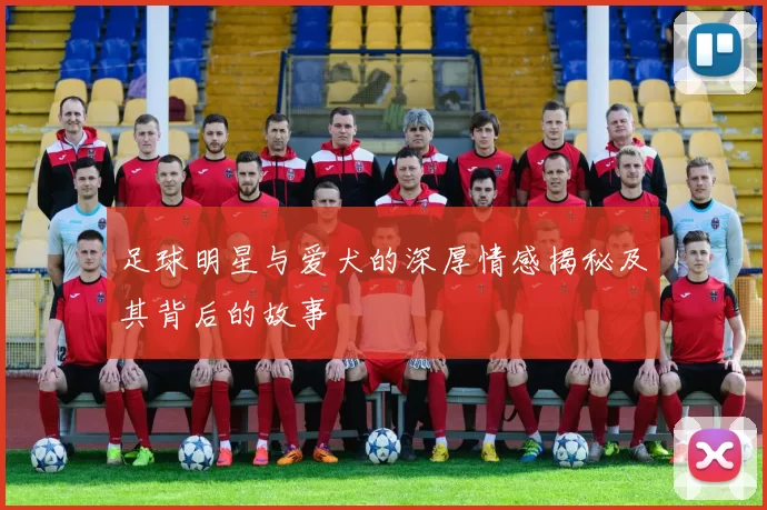 足球明星与爱犬的深厚情感揭秘及其背后的故事