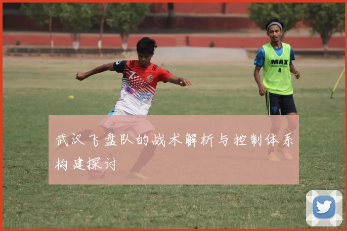 武汉飞盘队的战术解析与控制体系构建探讨