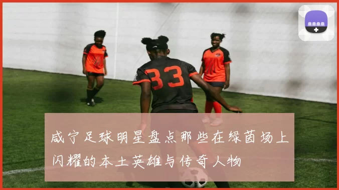 咸宁足球明星盘点那些在绿茵场上闪耀的本土英雄与传奇人物
