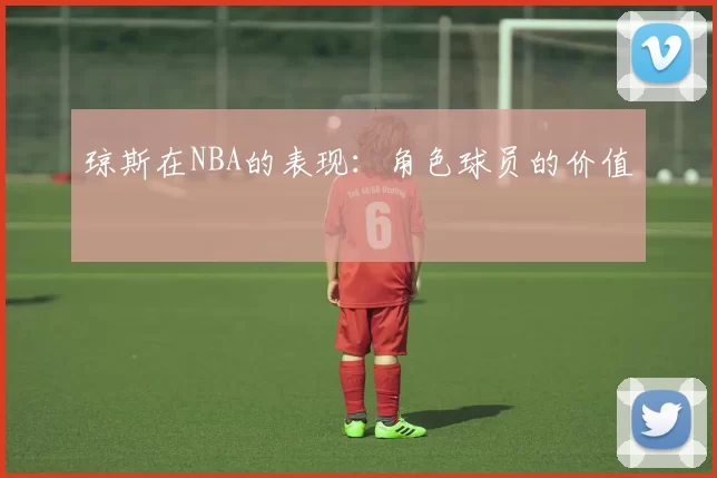 琼斯在NBA的表现：角色球员的价值