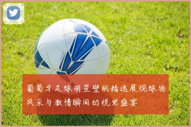葡萄牙足球明星壁纸精选展现球场风采与激情瞬间的视觉盛宴