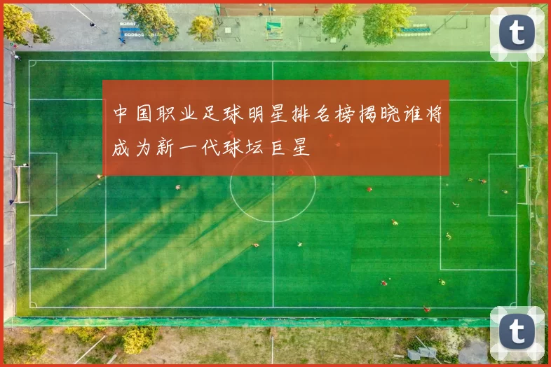中国职业足球明星排名榜揭晓谁将成为新一代球坛巨星