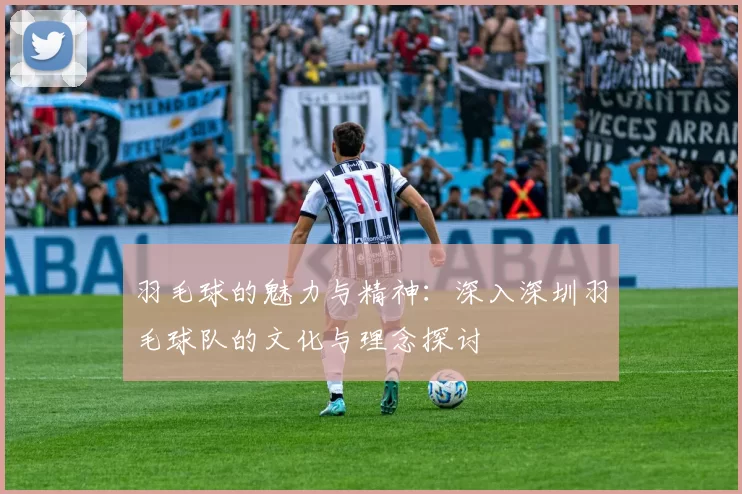 羽毛球的魅力与精神：深入深圳羽毛球队的文化与理念探讨