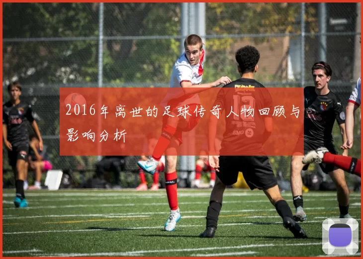2016年离世的足球传奇人物回顾与影响分析
