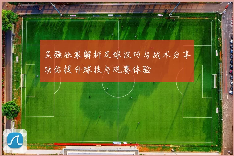 吴强独家解析足球技巧与战术分享助你提升球技与观赛体验