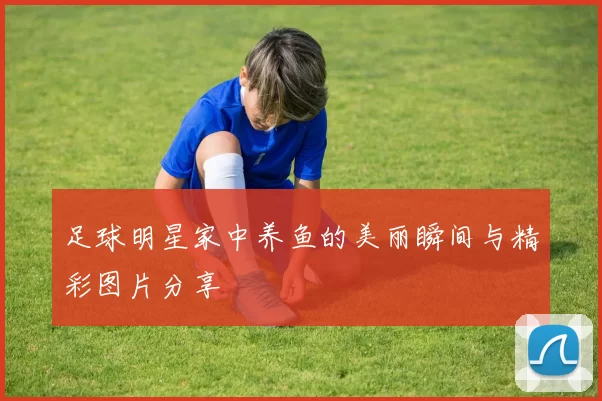 足球明星家中养鱼的美丽瞬间与精彩图片分享