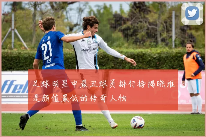 足球明星中最丑球员排行榜揭晓谁是颜值最低的传奇人物