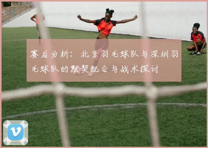赛后分析：北京羽毛球队与深圳羽毛球队的默契配合与战术探讨