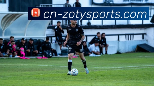 中欧体育平台生态图